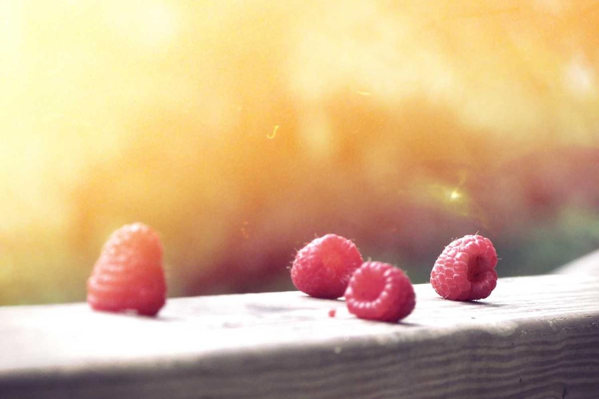 Donec aliquet tempus magnis volutpat dapibus viverra nisl dui pretium vel pharetra